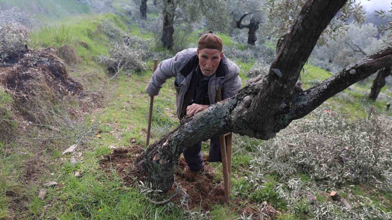Film sahnesi değil gerçek hayat