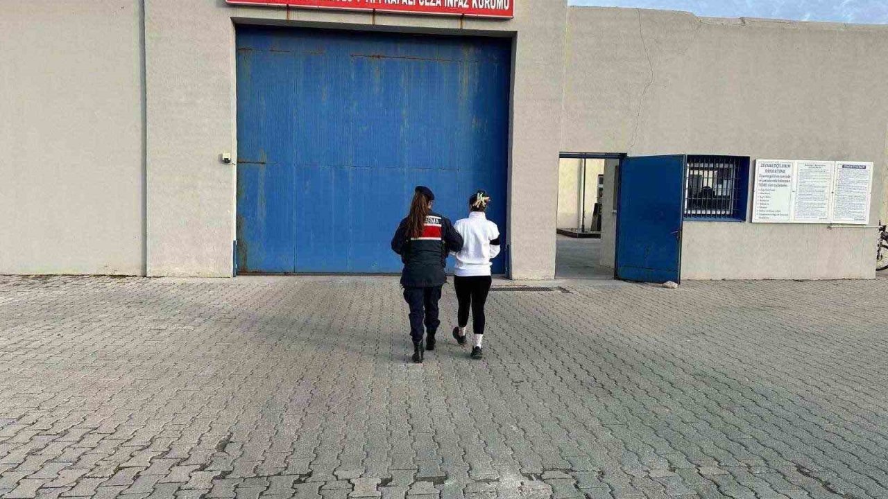 Jandarma tarafından yakalanan 20 kişi tutuklandı