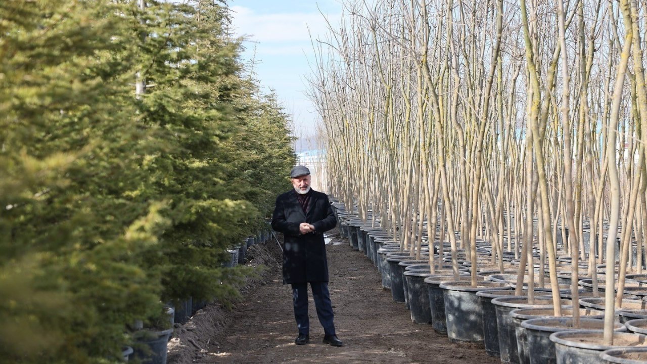 Başkan Çolakbayrakdar: "Şehrin yeşil geleceğini Kocasinan’da inşa ediyoruz"