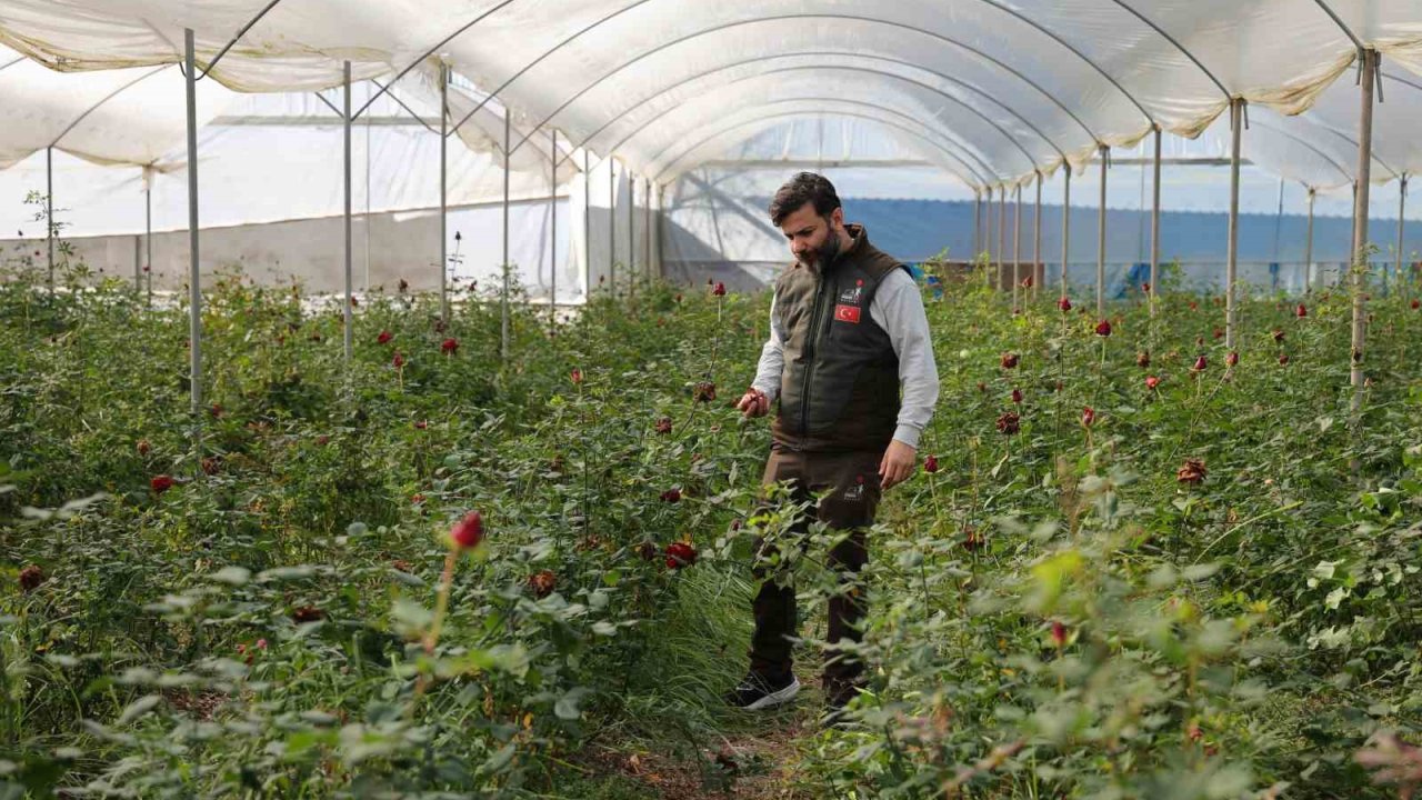Adana’da sevgililerin gülleri dalında kurudu