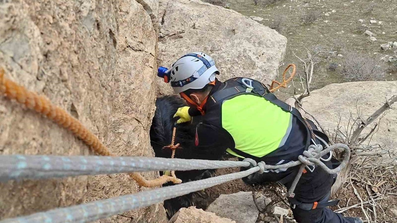Siirt’te üç gündür mahsur kalan keçi dağcılar tarafından kurtarıldı