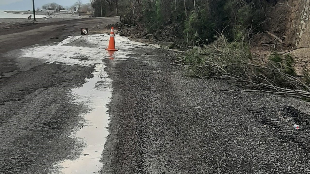 Kastamonu’da heyelanda istinat duvarını aşan ağaçlar yola kadar geldi