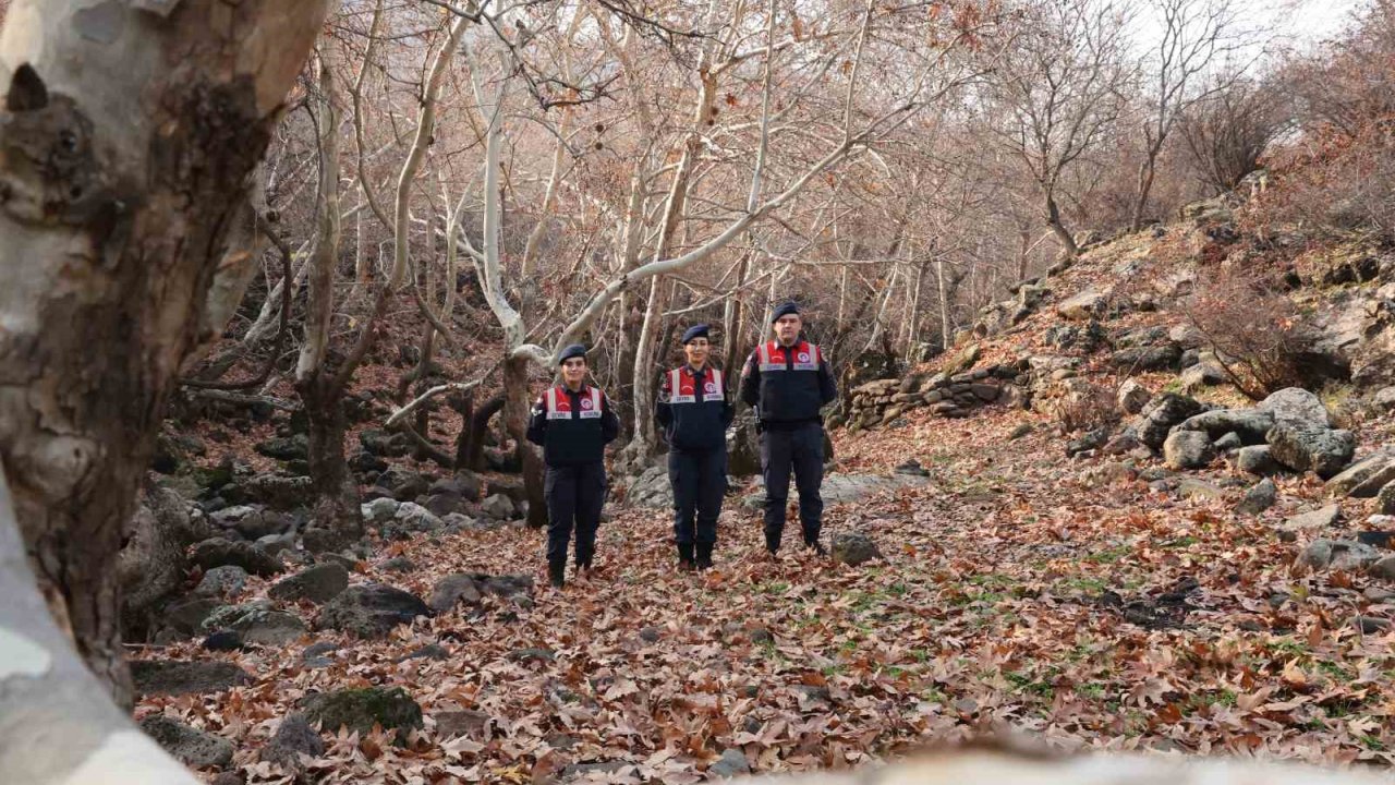 Diyarbakır’ın ekolojik dengesi Çevre ve Doğal Hayatı Koruma Kısmı tarafından korunuyor