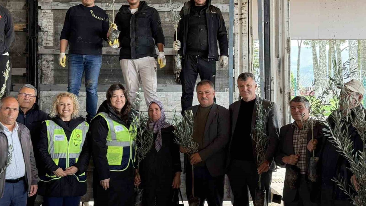 Beyağaç’ta kırsal kalkınmayı destek amacıyla zeytin fidanı dağıtımı gerçekleşti