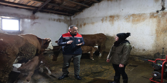 Karacaören’de hayvancılık faaliyetleri yerinde incelendi
