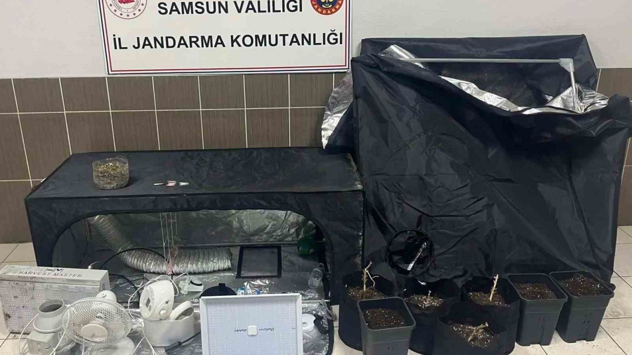 Çarşamba’da jandarmadan uyuşturucu operasyonu
