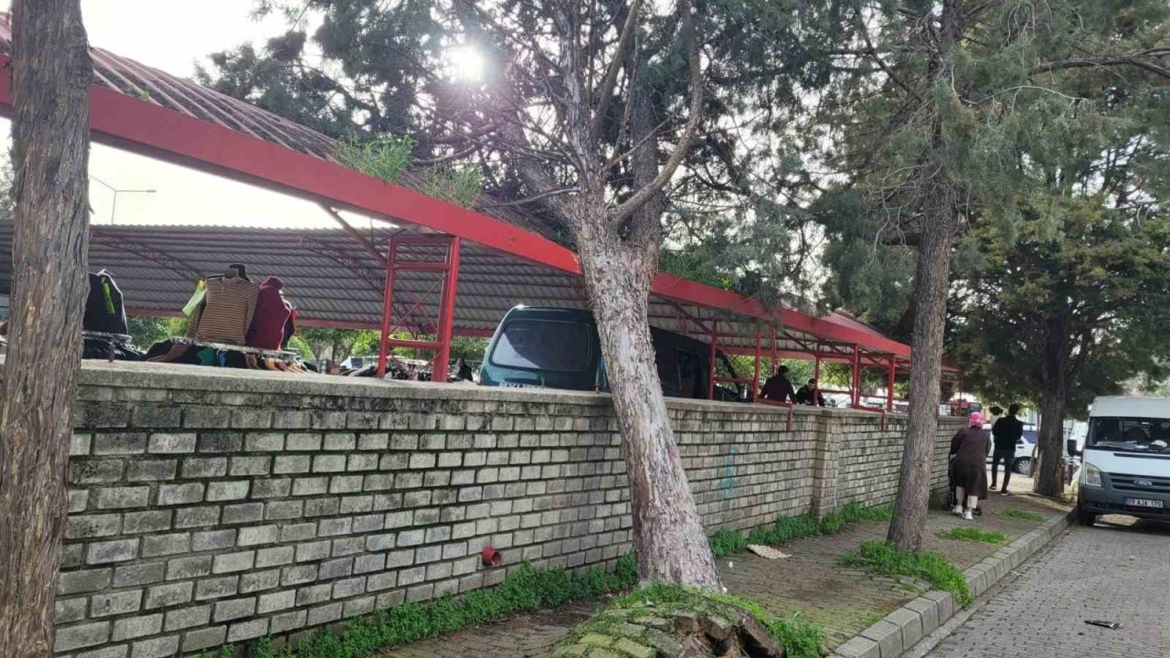 Efekent Pazaryeri’nde rüzgar ağacı devirdi