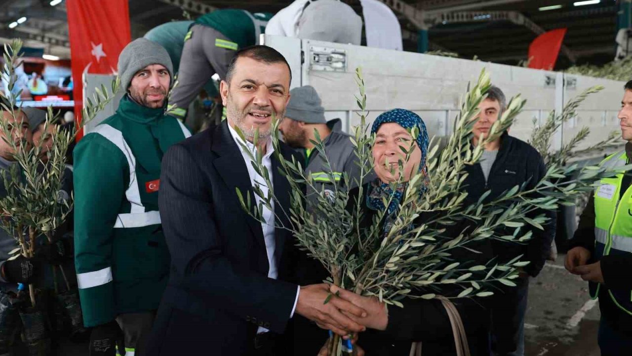 Denizli’nin 19 ilçesinde 84 bin zeytin fidanı üreticilere dağıtıldı