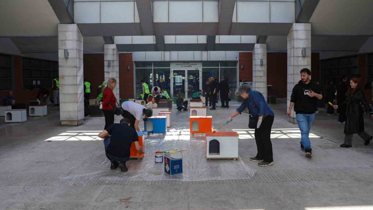 Can dostlara sıcak yuva