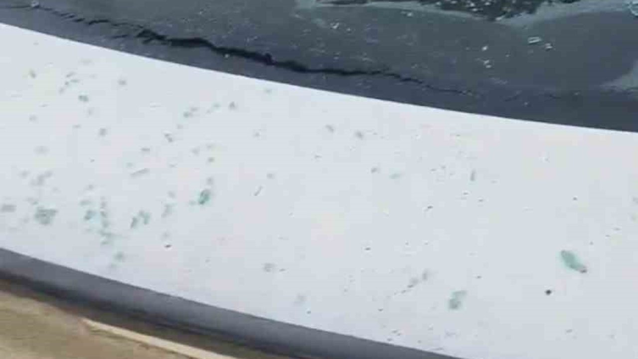 Önce alkol aldılar sonra bindikleri otomobili kurşun yağmuruna tuttular