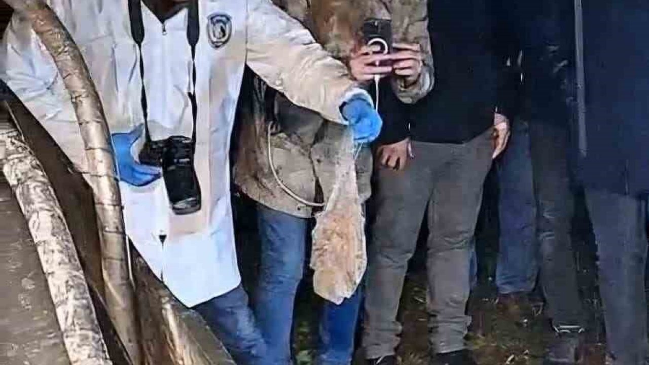 Mezarlığa gömülen esrarengiz paket mahalleliyi ayağa kaldırdı