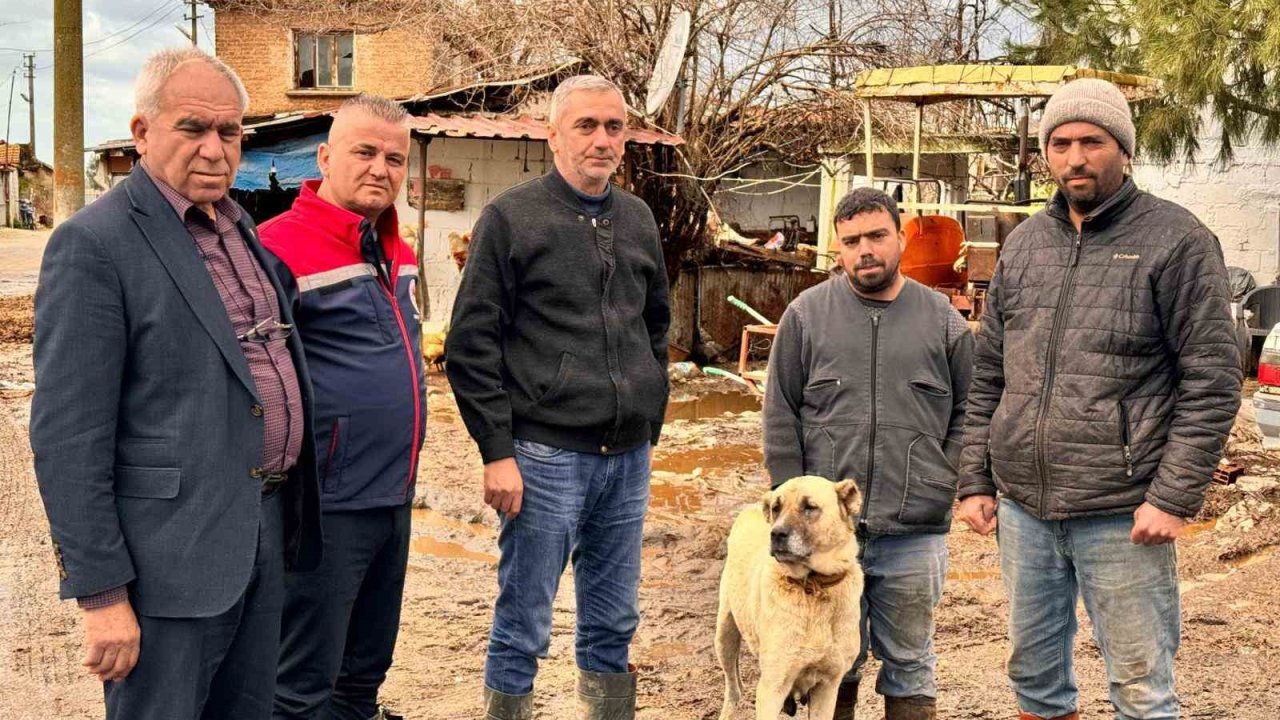 Aşırı yağışlar sonrası Söke’de hayvanlar güvenli bölgelere alındı