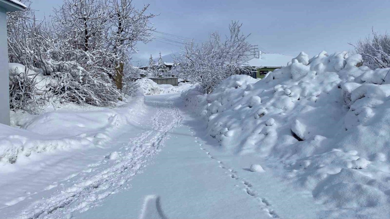 Karlıova’da kar yağışı etkisini sürdürüyor