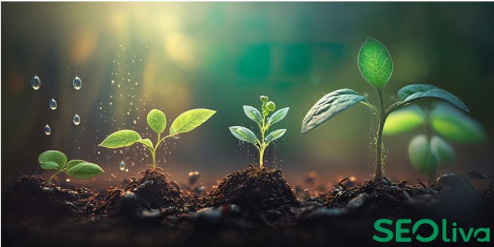 SEOliva Ekibi Uyardı: İlk Sayfada Yoksanız Dijitalde de Yoksunuz