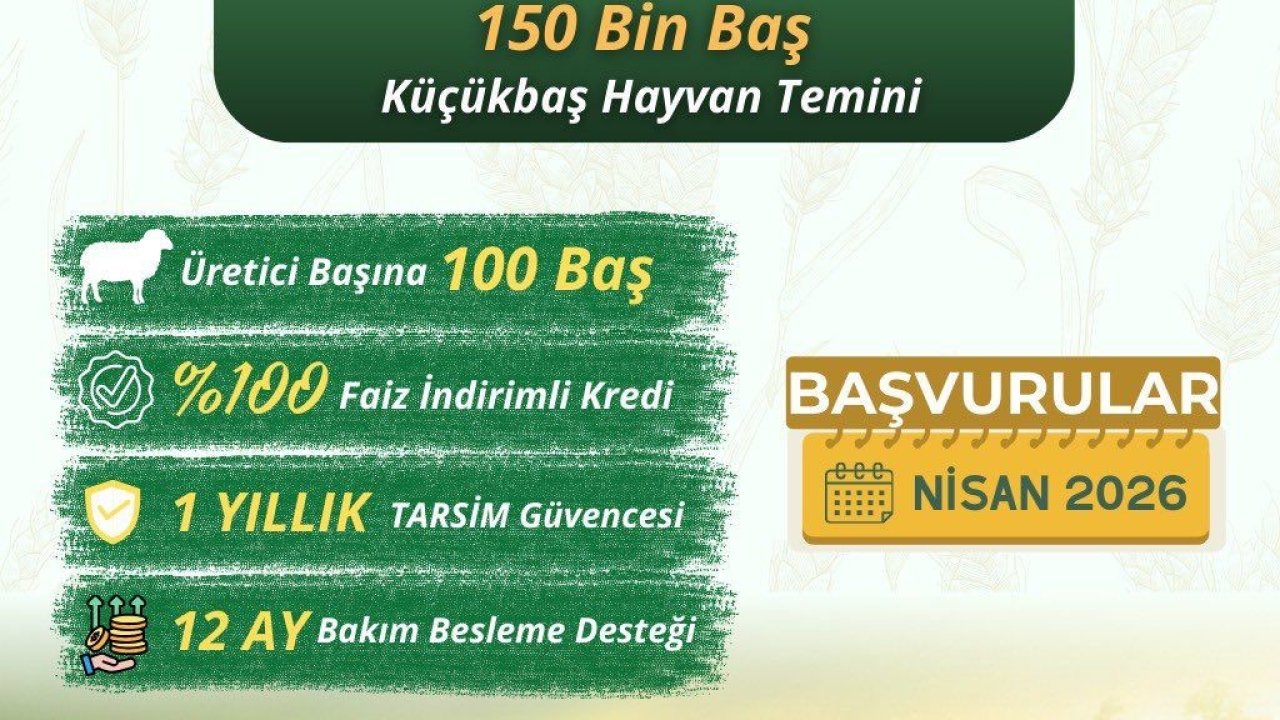 Küçükbaş üreticilerine "Kırsalda Bereket" projesi başlıyor