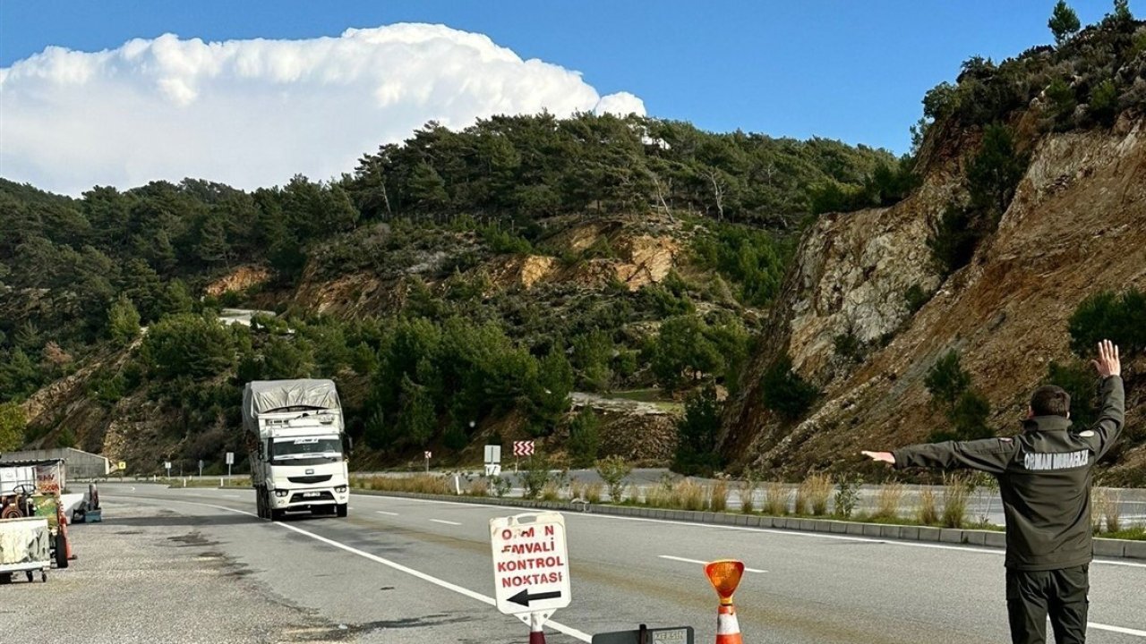 Mersin’de orman suçlarına eş zamanlı denetim