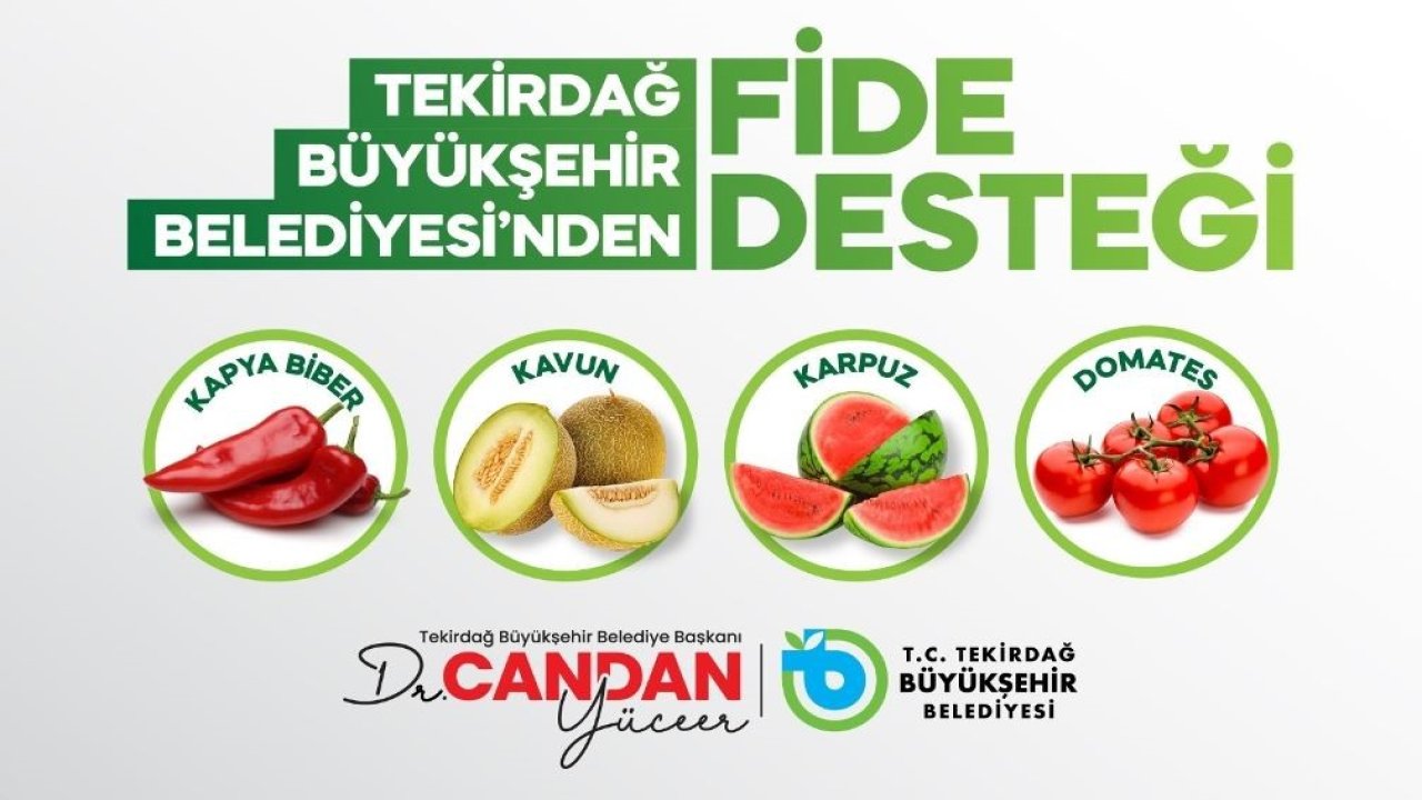 Üreticiye yüzde 70 hibeli fide desteği
