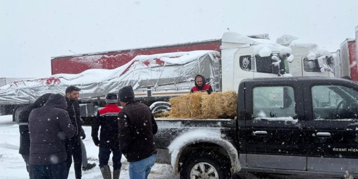 Kars’tan sevk edilen hayvanlar Erzincan’da mahsur kaldı