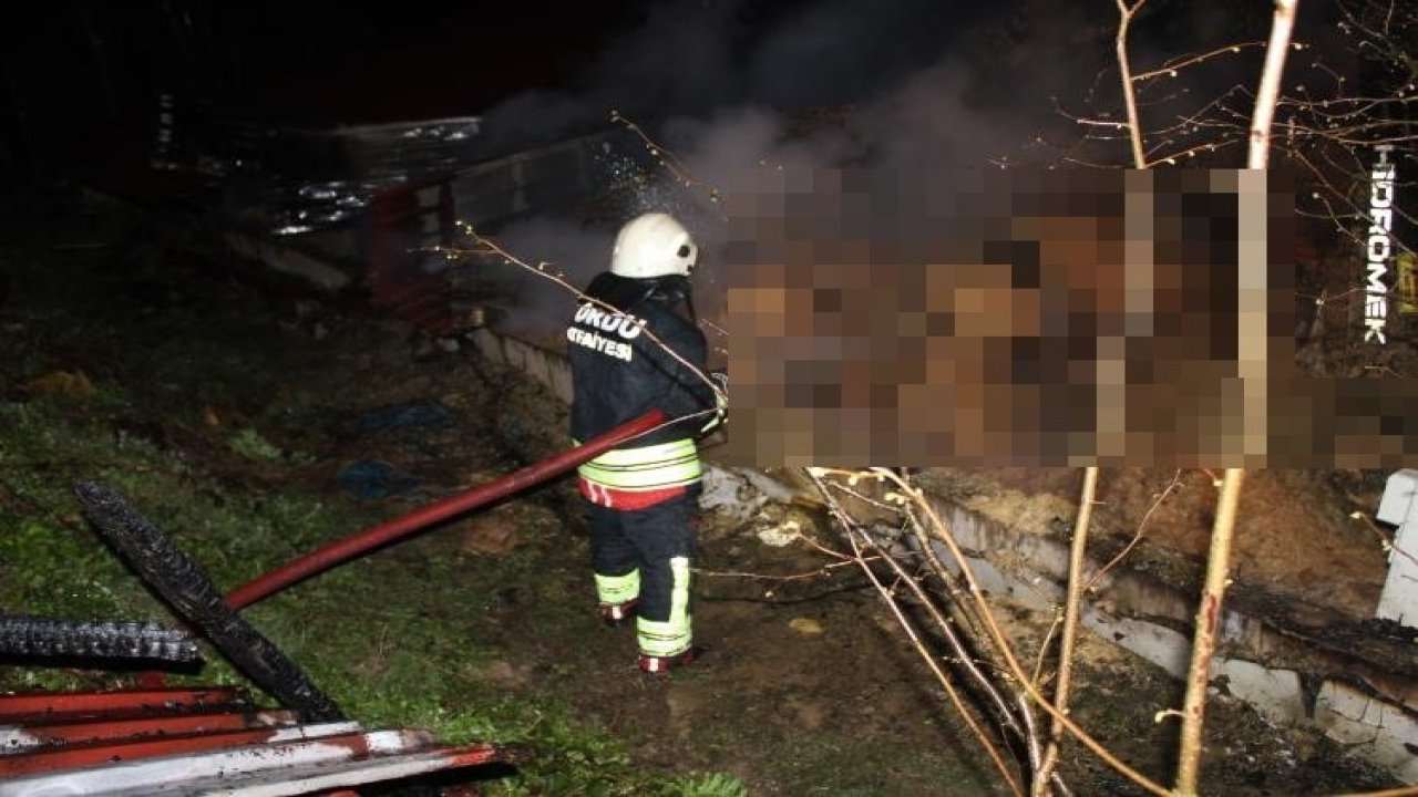 Ordu’da ahır yangını: 27 büyükbaş hayvan telef oldu