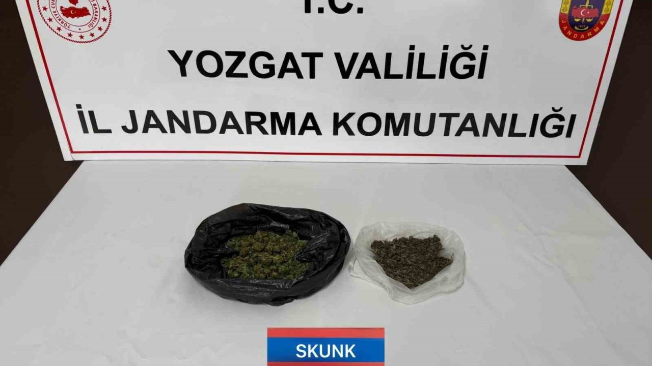 Yozgat’ta Jandarma ekipleri uyuşturucuyla mücadeleyi sürdürüyor