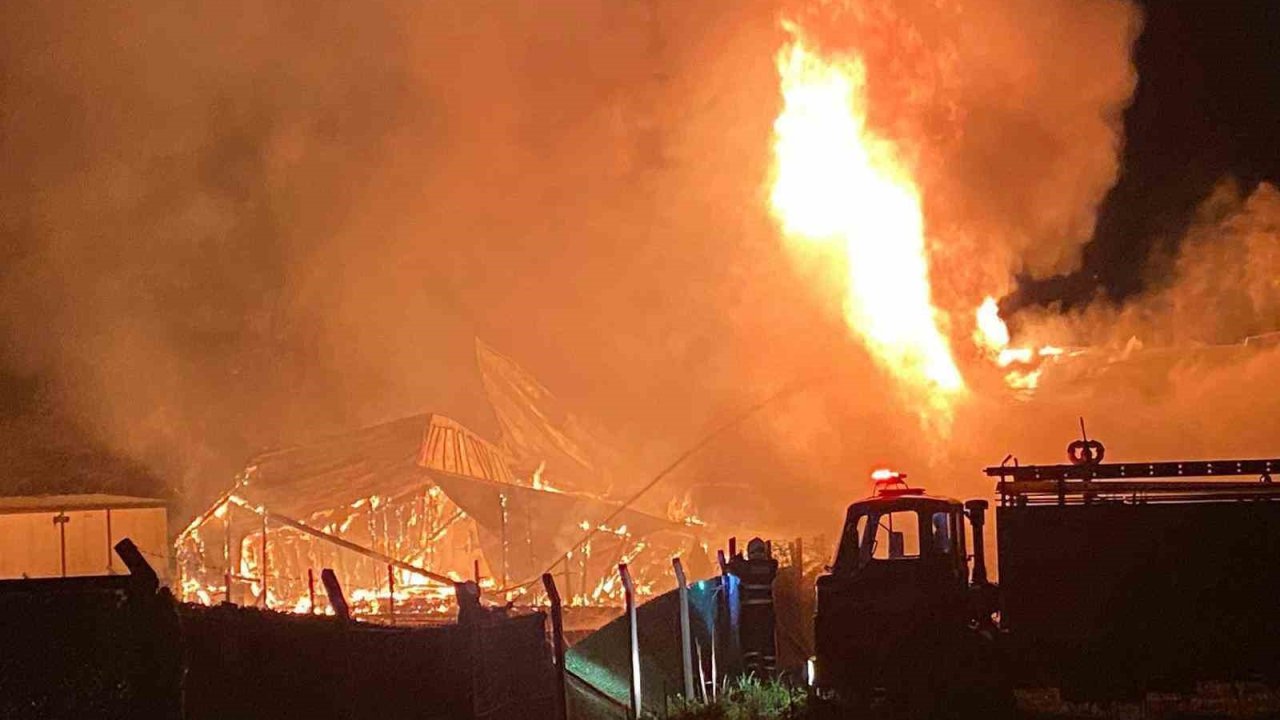 Bağ evinde çıkan yangın diğer bağ evine de sıçradı