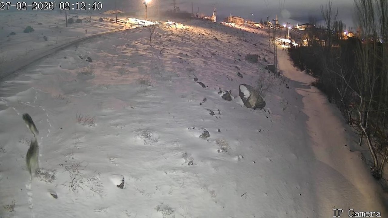 Niğde’de aç kalan kurtlar köye indi