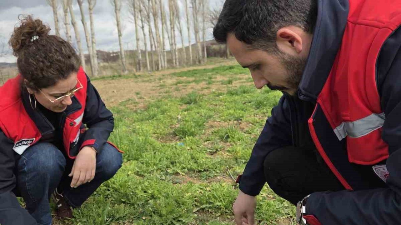 Tarım arazilerinde hastalık ve zararlı kontrolleri yapıldı