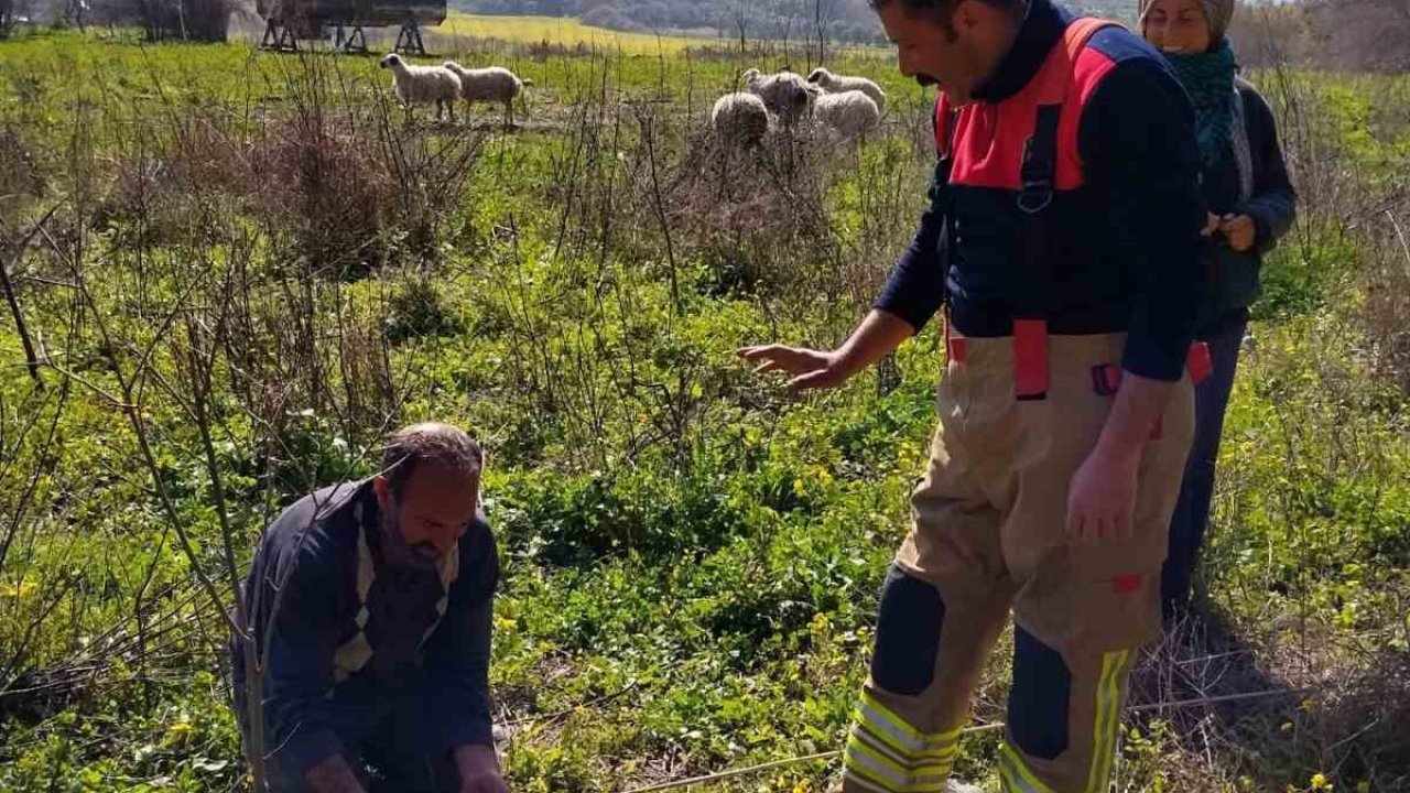 Defne’de kuyuya düşen kuzuyu itfaiye kurtardı