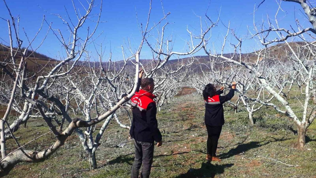 Çiftçilere bordo bulamacı uyarısı