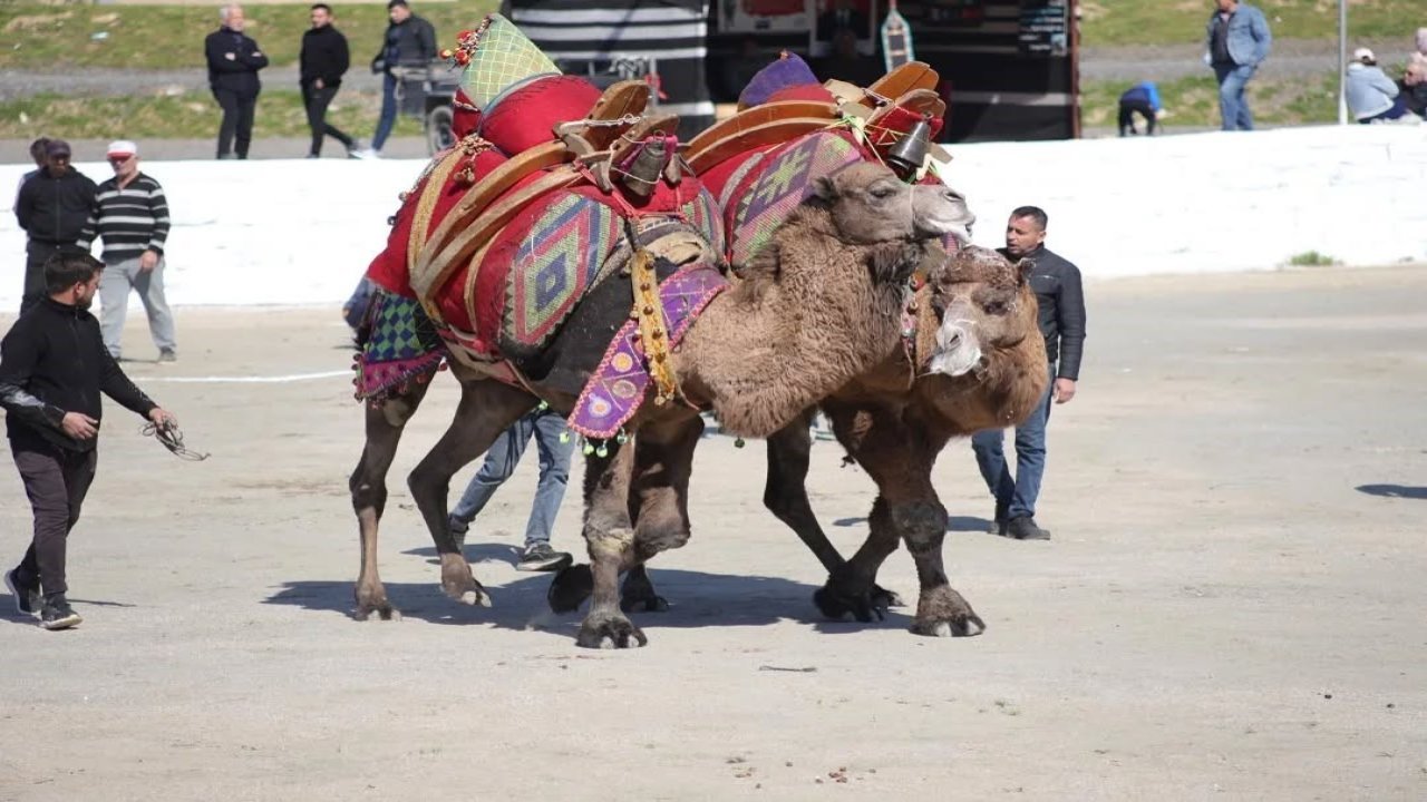 Başkan Kaya: "Bu yıl sezonun ilk güreşlerini yapmak bizlere nasip oldu"