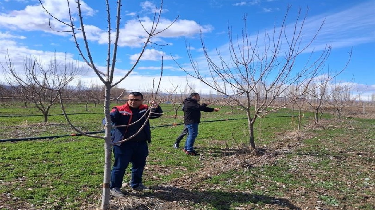 Iğdır’da çiftçilere uygulamalı meyve ağacı budama eğitimi
