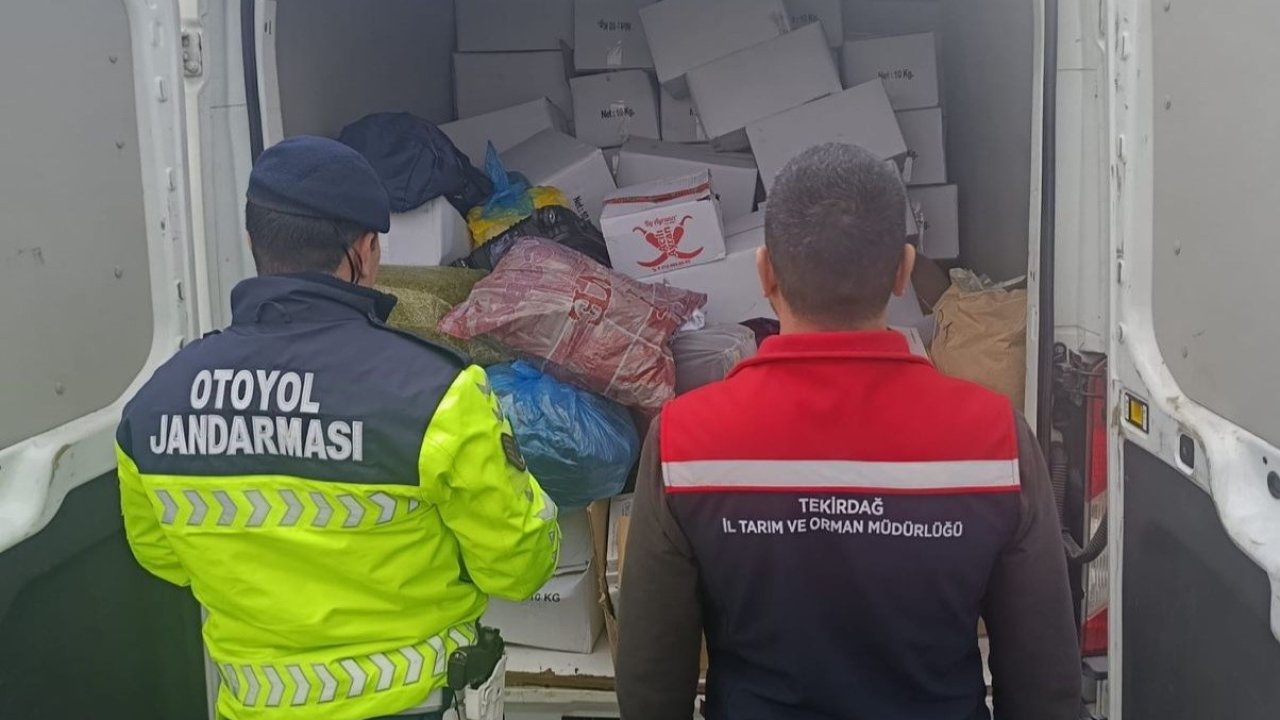 Tekirdağ’da 2 ton baklavaya hazır antepfıstığı imha edildi