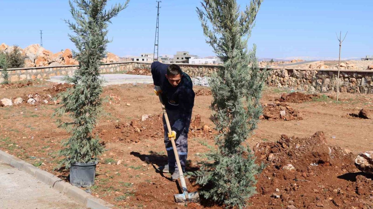 Yukarıgöklü Kent Parkı yeşile bürünüyor