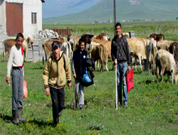 Kars'ta Okullar Kapandı Çocuklar Çobanlığa Başladı