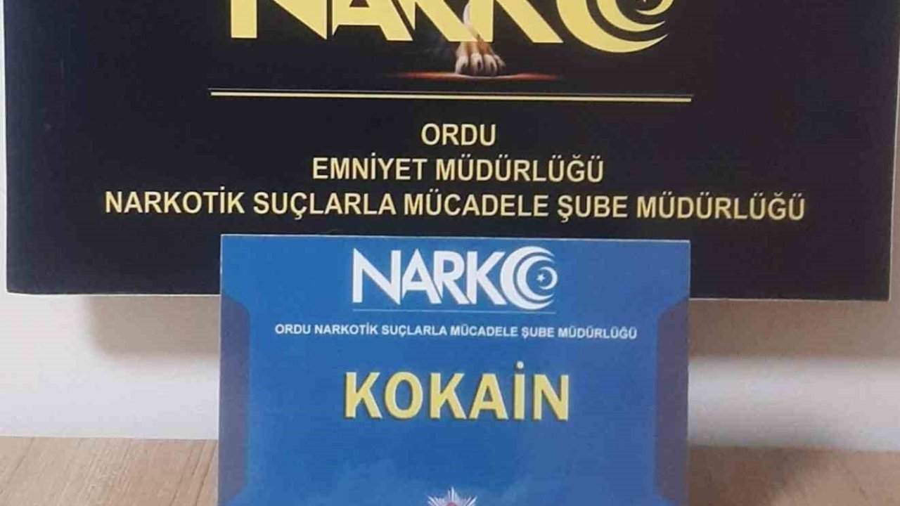 Ordu’da uyuşturucu operasyonlarında 2 tutuklama