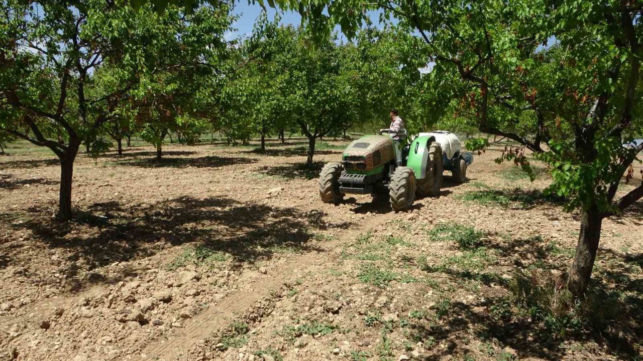Kayısı üreticilerine manolya hastalığı uyarısı