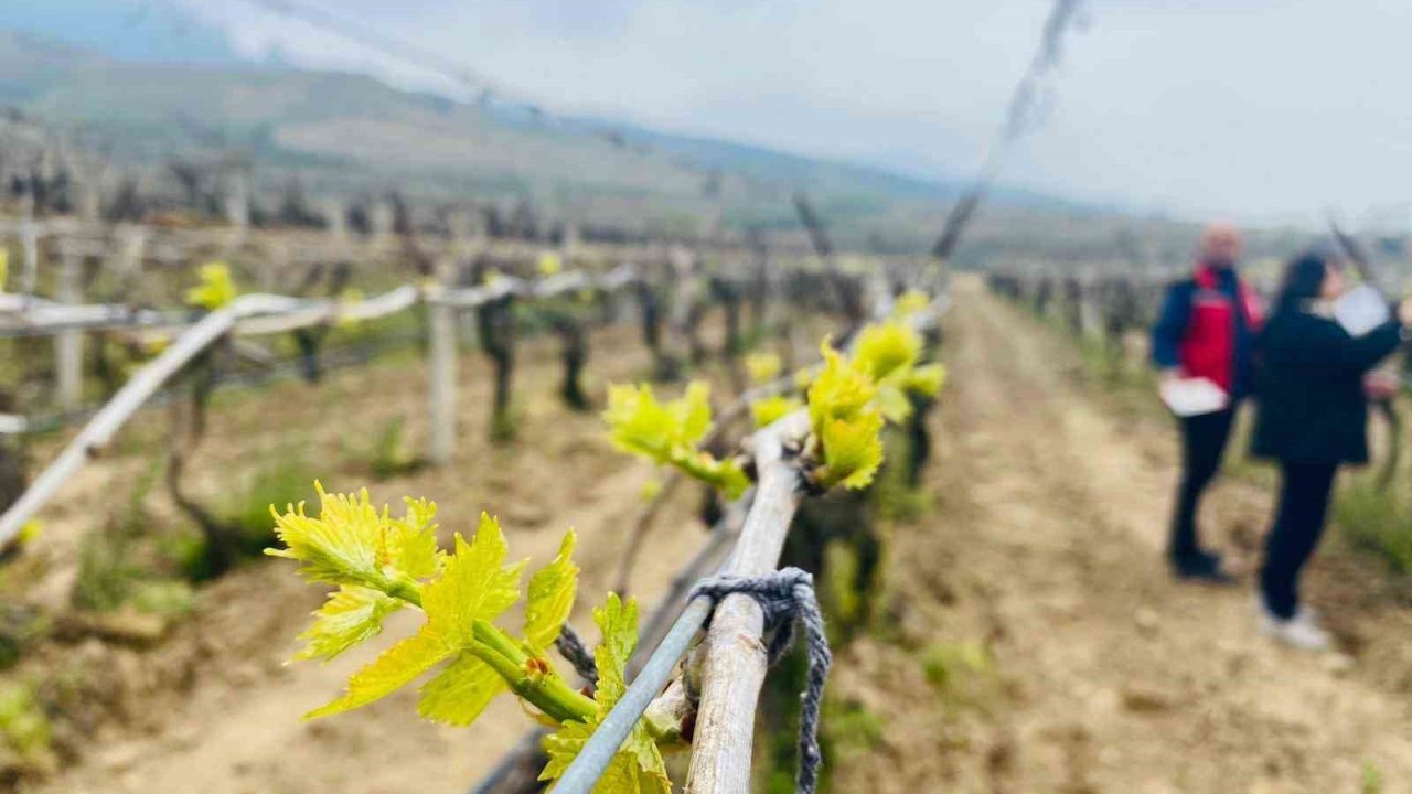 Salihli’de yağışlar Ölükol riskini artırdı