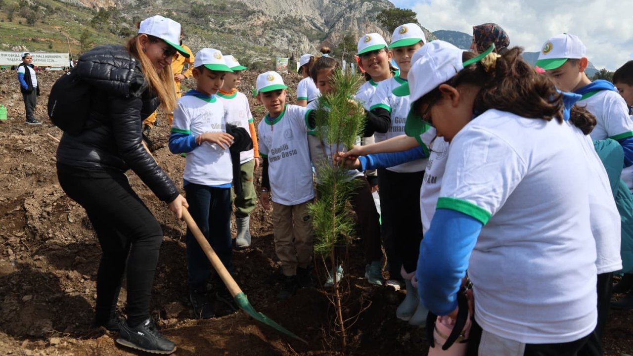 Akyaka’da yanan alan fidanlarla yeşeriyor
