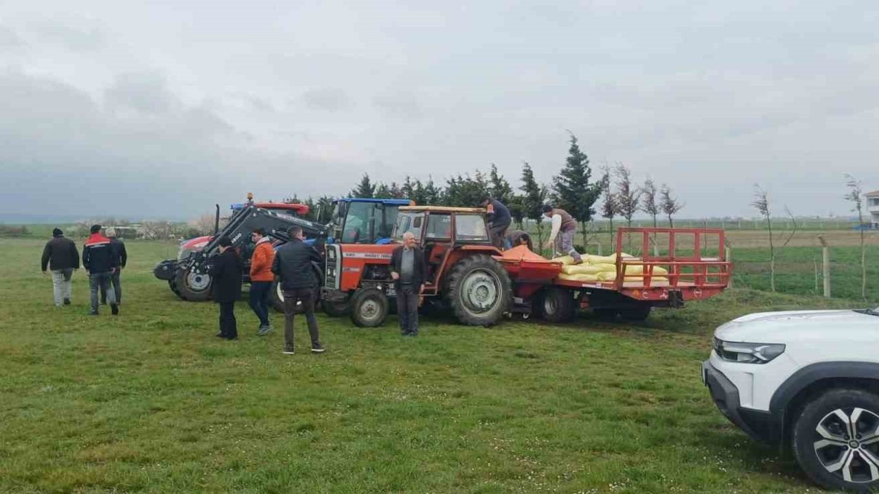 Merada gübreleme çalışması yapıldı