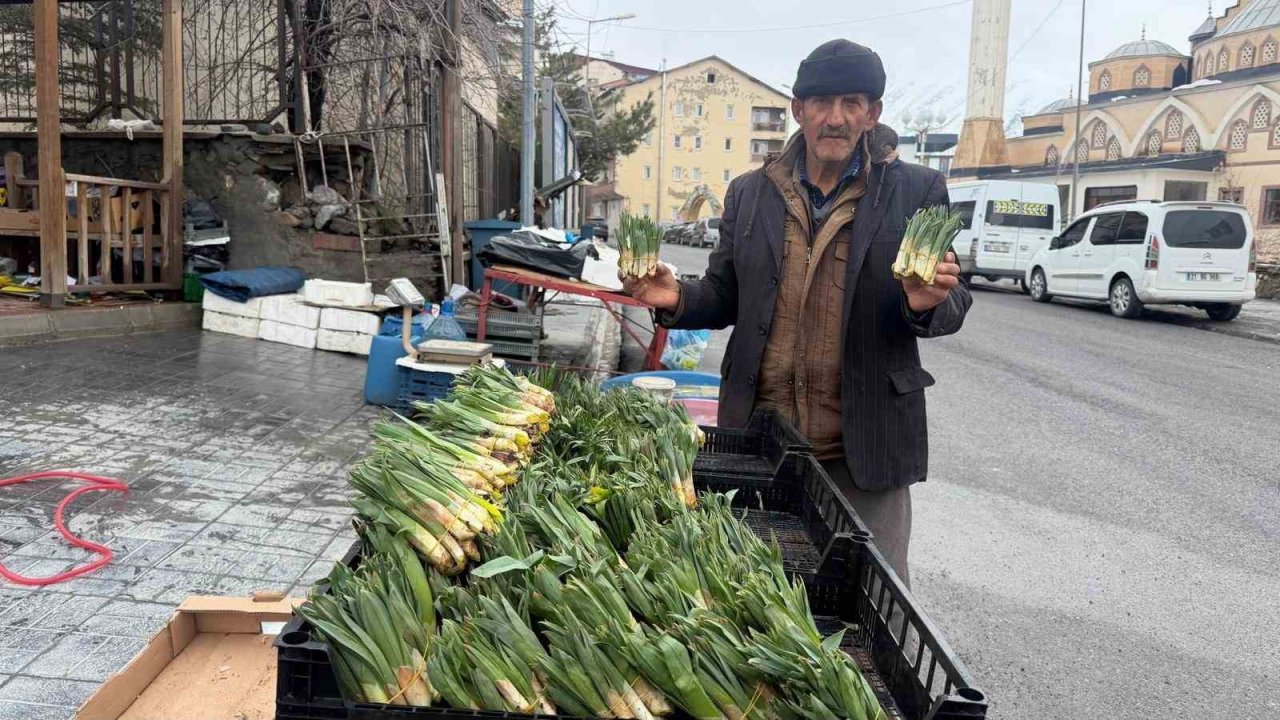 Hakkari’de yılın ilk pancarları tezgâhlarda yerini aldı