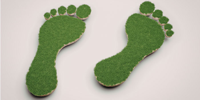 Şirketler İçin Karbon Ayak İzi Hesabı Neden Önemlidir?