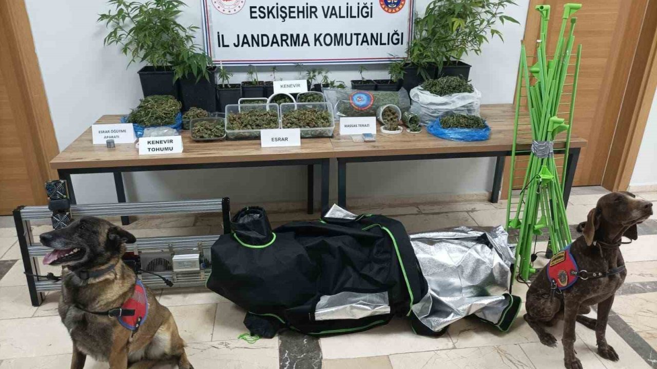 Eskişehir’de uyuşturucu operasyonu