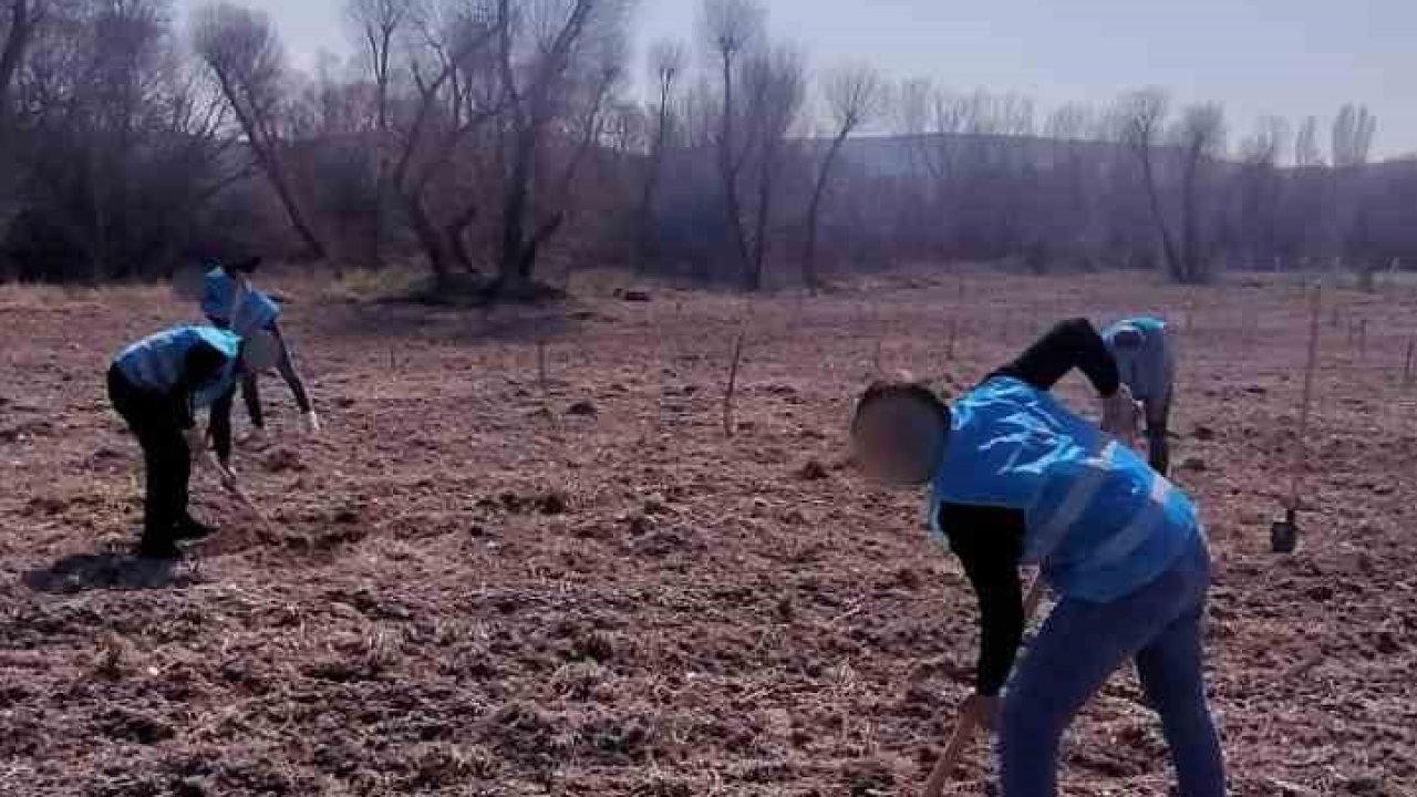 Denetimli serbestlik yükümlüleri ’Adalet Ormanı’nda meyve yetiştiriyor