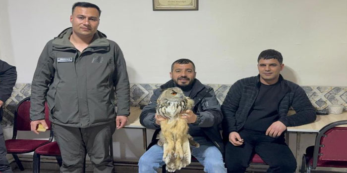 Kars’ta yaralı puhuya şefkat eli