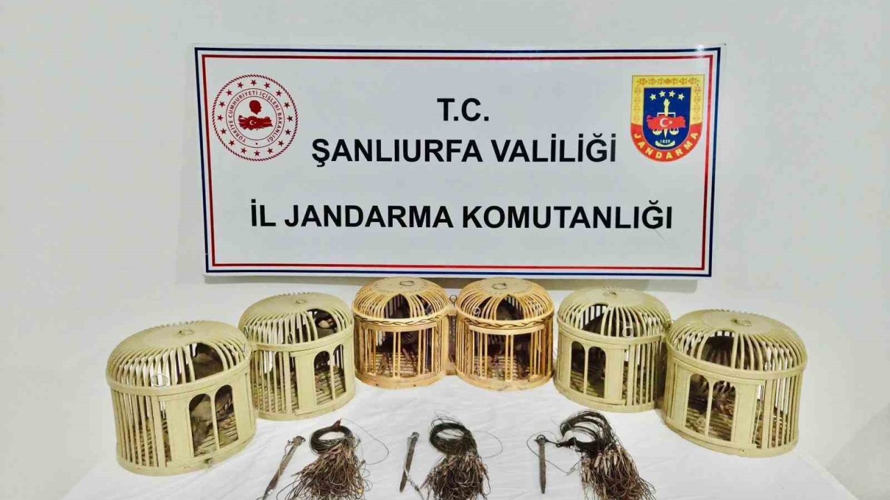 Şanlıurfa’da kaçak keklik avcıları suçüstü yakalandı