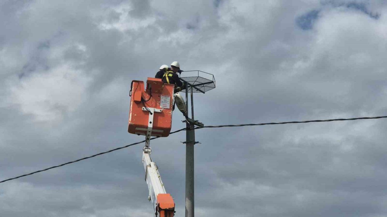Ölüm hattıydı, yuvalara dönüştü: Bini aştı