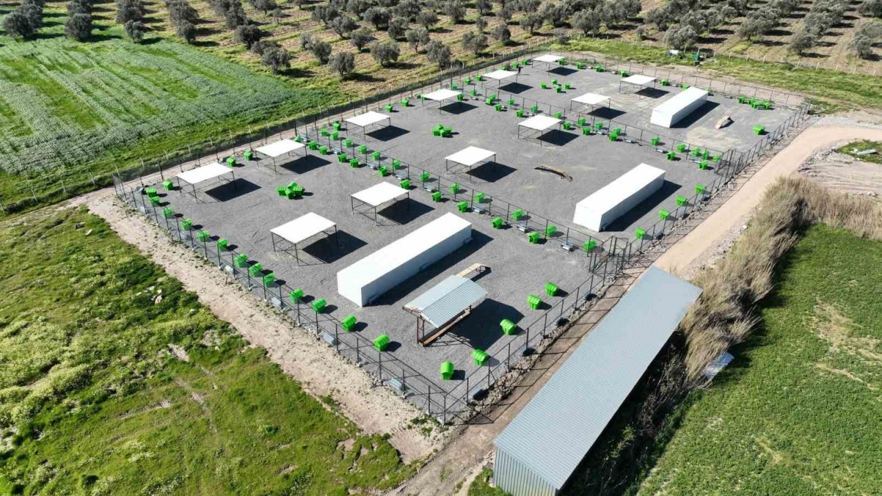 Edremit’te can dostlar için doğal yaşam alanı açılıyor