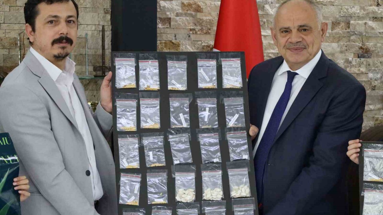 Yahyalı’da "Ata Tohumu" Projesine anlamlı destek