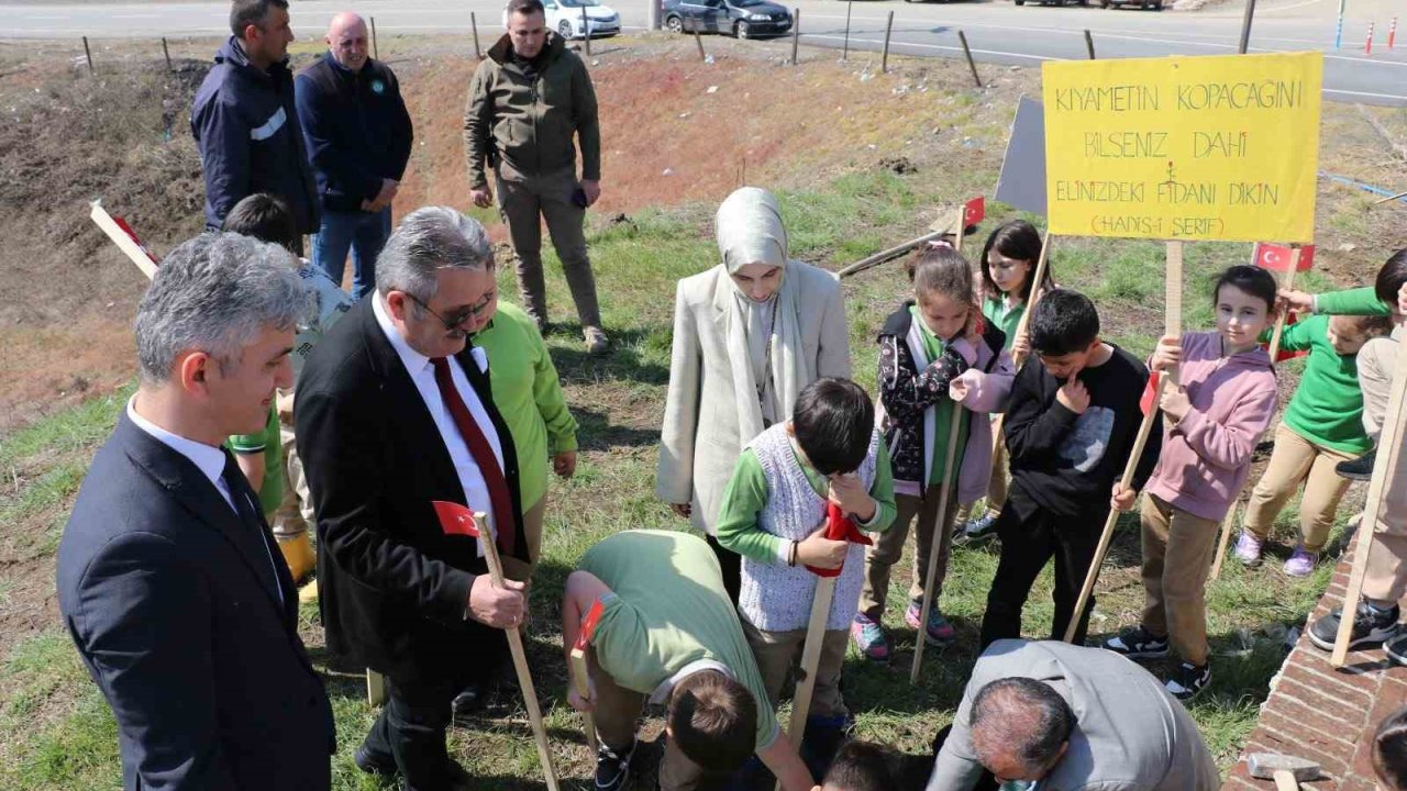 Cumayeri’nde fidanlar toprakla buluştu