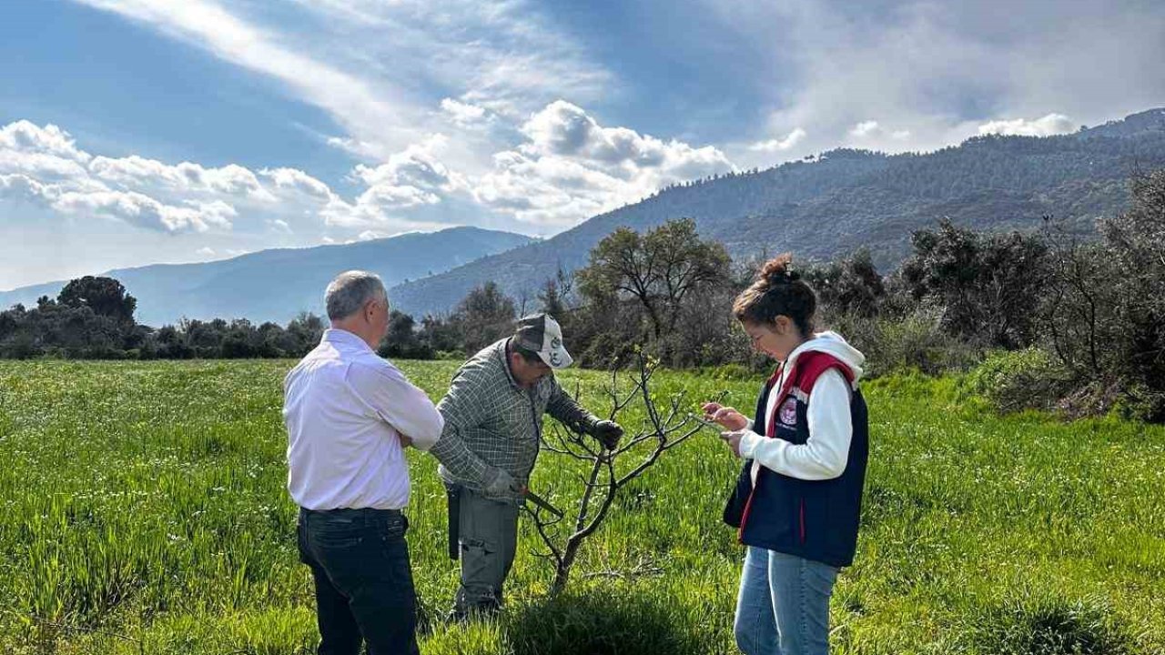 Bozdoğan İlçe Tarım ve Orman Müdürlüğü ekipleri ilek bahçesinde bakım yaptı
